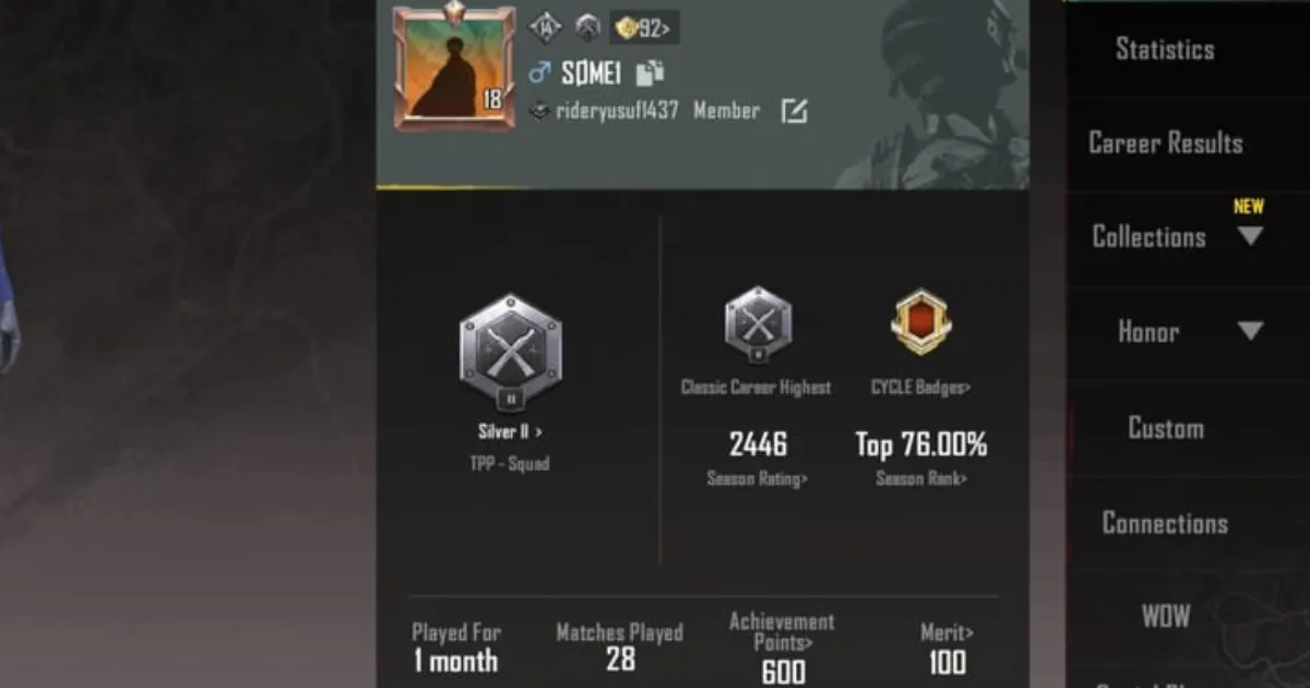 Silver Rank